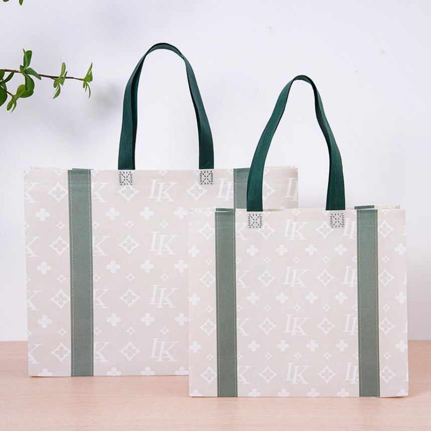 Non-woven Bags example 2