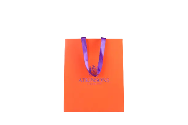 Luxury Art Paper Bag